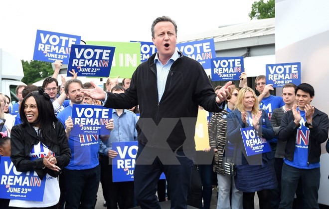 Prime Minister David Cameron: Leave votes would be economic bombs for UK - ảnh 1